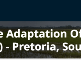 unops-is-recruiting-a-climate-change-adaptation-officer-(home-based-retainer):-work-remotely-supporting-south-africa’s-department-of-forestry,-fisheries-and-the-environment-(dffe)-and-the-ndc-partnership