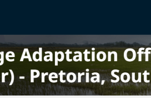 UNOPS is recruiting a Climate Change Adaptation Officer (Home-Based Retainer): Work Remotely Supporting South Africa’s Department of Forestry, Fisheries and the Environment (DFFE) and the NDC Partnership unops-is-recruiting-a-climate-change-adaptation-officer-(home-based-retainer):-work-remotely-supporting-south-africa’s-department-of-forestry,-fisheries-and-the-environment-(dffe)-and-the-ndc-partnership