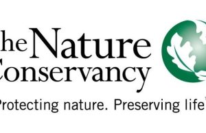 The Nature Conservancy (TNC) is Seeking ana Engagement Manager (Remote Africa) – Apply by 7 September 2026 the-nature-conservancy-(tnc)-is-seeking-ana-engagement-manager-(remote-africa)-–-apply-by-7-september-2026