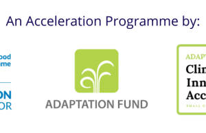 World Food Programme (WFP) Invites Applicants for the Adaptation Fund Climate Innovation Accelerator (AFCIA) 2026 world-food-programme-(wfp)-invites-applicants-for-the-adaptation-fund-climate-innovation-accelerator-(afcia)-2026