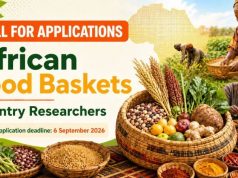 Call for Applications: African Food Baskets Country Researchers – Opportunities for 10 African Researchers call-for-applications:-african-food-baskets-country-researchers-–-opportunities-for-10-african-researchers