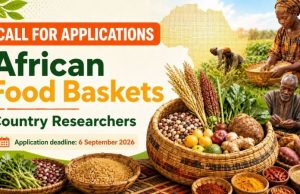 Call for Applications: African Food Baskets Country Researchers – Opportunities for 10 African Researchers call-for-applications:-african-food-baskets-country-researchers-–-opportunities-for-10-african-researchers