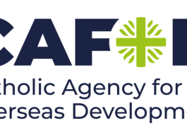 CAFOD Senior Business Development Lead (Africa) – NGO Consultancy Opportunity in Abuja, Harare, Kinshasa and Nairobi: Apply by 31 August 2026 cafod-senior-business-development-lead-(africa)-–-ngo-consultancy-opportunity-in-abuja,-harare,-kinshasa-and-nairobi:-apply-by-31-august-2026