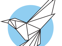 Platform for Peace and Humanity Seeks Remote Volunteer Project Coordinator (Peace Education) – Apply By 6 September 2026 platform-for-peace-and-humanity-seeks-remote-volunteer-project-coordinator-(peace-education)-–-apply-by-6-september-2026