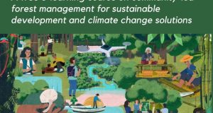 Explore Community-Led Forest Conservation in 2026: Free Beginner E-Learning Course With Certificate from RECOFTC explore-community-led-forest-conservation-in-2026:-free-beginner-e-learning-course-with-certificate-from-recoftc