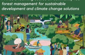 Explore Community-Led Forest Conservation in 2026: Free Beginner E-Learning Course With Certificate from RECOFTC explore-community-led-forest-conservation-in-2026:-free-beginner-e-learning-course-with-certificate-from-recoftc