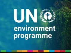 UNEP planetGOLD Consultant Opportunity in Nairobi: Apply by 1 September 2026 unep-planetgold-consultant-opportunity-in-nairobi:-apply-by-1-september-2026