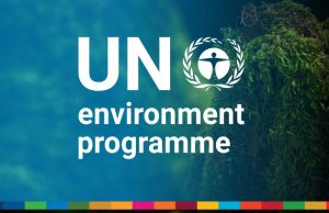 UNEP planetGOLD Consultant Opportunity in Nairobi: Apply by 1 September 2026 unep-planetgold-consultant-opportunity-in-nairobi:-apply-by-1-september-2026