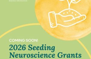 IBRO Seeding Neuroscience Grants 2026: Funding to Establish New Neuroscience Societies and Networks ibro-seeding-neuroscience-grants-2026:-funding-to-establish-new-neuroscience-societies-and-networks