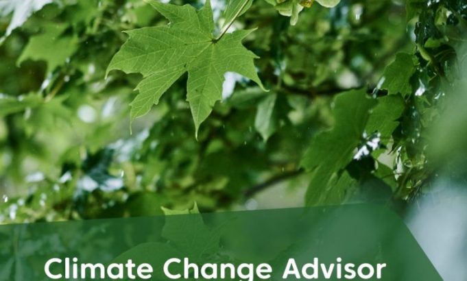 forestry-and-land-scotland-jobs-2026:-climate-change-advisor-and-interim-head-of-planning