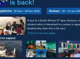 NRF Summer School is Back! South African Students Invited to Apply for Aquatic Biodiversity Summer School 2027 with Sea-Going Fieldwork and Research Training nrf-summer-school-is-back!-south-african-students-invited-to-apply-for-aquatic-biodiversity-summer-school-2027-with-sea-going-fieldwork-and-research-training