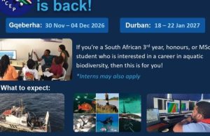 NRF Summer School is Back! South African Students Invited to Apply for Aquatic Biodiversity Summer School 2027 with Sea-Going Fieldwork and Research Training nrf-summer-school-is-back!-south-african-students-invited-to-apply-for-aquatic-biodiversity-summer-school-2027-with-sea-going-fieldwork-and-research-training