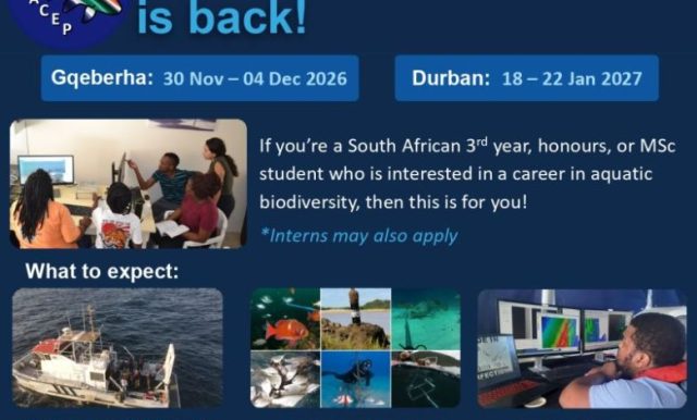 nrf-summer-school-is-back!-south-african-students-invited-to-apply-for-aquatic-biodiversity-summer-school-2027-with-sea-going-fieldwork-and-research-training nrf-summer-school-is-back!-south-african-students-invited-to-apply-for-aquatic-biodiversity-summer-school-2027-with-sea-going-fieldwork-and-research-training