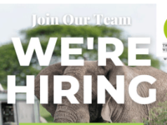 East African Wild Life Society is Hiring a Manager for Programmes, Policy and Advocacy in Kenya: Apply east-african-wild-life-society-is-hiring-a-manager-for-programmes,-policy-and-advocacy-in-kenya:-apply