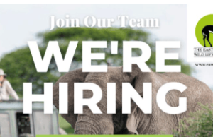 East African Wild Life Society is Hiring a Manager for Programmes, Policy and Advocacy in Kenya: Apply east-african-wild-life-society-is-hiring-a-manager-for-programmes,-policy-and-advocacy-in-kenya:-apply