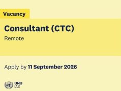 United Nations University Consultant (CTC5) 2026–2027 | Remote with Tokyo-Based Meetings united-nations-university-consultant-(ctc5)-2026–2027-|-remote-with-tokyo-based-meetings