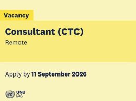 United Nations University Consultant (CTC5) 2026–2027 | Remote with Tokyo-Based Meetings united-nations-university-consultant-(ctc5)-2026–2027-|-remote-with-tokyo-based-meetings