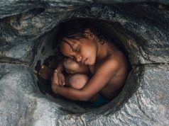 Vital Impacts Environmental Photography Fellowships and Mentorships 2027 vital-impacts-environmental-photography-fellowships-and-mentorships-2027