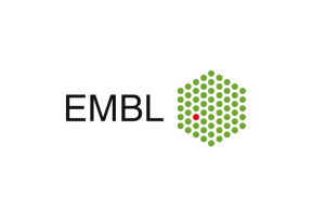 EMBL International PhD Programme 2027: Applications Open for Winter Recruitment embl-international-phd-programme-2027:-applications-open-for-winter-recruitment