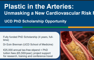 Apply for a Fully Funded 4-Year PhD at University College Dublin: Researching Plastic in the Arteries and Cardiovascular Health apply-for-a-fully-funded-4-year-phd-at-university-college-dublin:-researching-plastic-in-the-arteries-and-cardiovascular-health