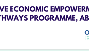 Inclusive Economic Empowerment (IEE) Pathways Programme 2026: Nigerian Youths Can Gain Employment Training, Internships and Enterprise Support in Abuja inclusive-economic-empowerment-(iee)-pathways-programme-2026:-nigerian-youths-can-gain-employment-training,-internships-and-enterprise-support-in-abuja