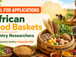call-for-applications:-african-food-baskets-country-researchers-program-2026
