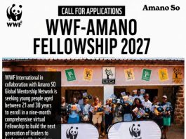 wwf-amano-fellows-program-2027-for-zimbabweans