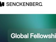 Senckenberg Global Fellowships 2026/27: Research Opportunities in Germany for Early-Career Scientists from the Global South senckenberg-global-fellowships-2026/27:-research-opportunities-in-germany-for-early-career-scientists-from-the-global-south