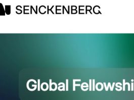 senckenberg-global-fellowships-2026/27:-research-opportunities-in-germany-for-early-career-scientists-from-the-global-south