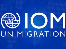 iom-nigeria-is-hiring:-head-of-programme-coordination-and-innovation-unit-(p-3)-|-apply-by-17-september-2026
