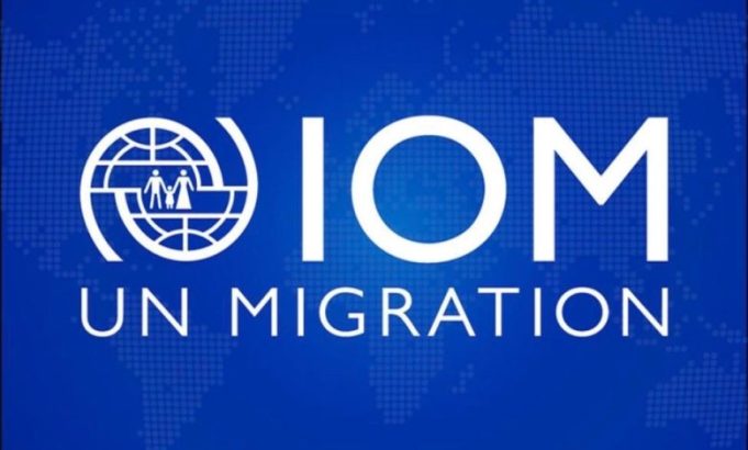iom-nigeria-is-hiring:-head-of-programme-coordination-and-innovation-unit-(p-3)-|-apply-by-17-september-2026