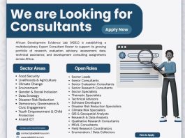 ADEL Africa-Wide Call for Expert Consultants 2026 | Join the Remote Development Consulting Roster adel-africa-wide-call-for-expert-consultants-2026-|-join-the-remote-development-consulting-roster