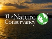 The Nature Conservancy (TNC) Senior Communications Specialist Job 2026 in India: Apply the-nature-conservancy-(tnc)-senior-communications-specialist-job-2026-in-india:-apply