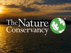 The Nature Conservancy (TNC) Senior Communications Specialist Job 2026 in India: Apply the-nature-conservancy-(tnc)-senior-communications-specialist-job-2026-in-india:-apply