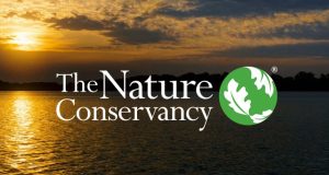 The Nature Conservancy (TNC) Senior Communications Specialist Job 2026 in India: Apply the-nature-conservancy-(tnc)-senior-communications-specialist-job-2026-in-india:-apply