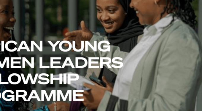call-for-applications:-undp-african-young-women-leaders-fellowship-2026-leadership-opportunity-for-young-african-women call-for-applications:-undp-african-young-women-leaders-fellowship-2026-leadership-opportunity-for-young-african-women