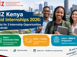 giz-kenya-paid-internships-2026:-apply-for-3-internship-opportunities-in-nairobi