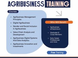 sustain-agribusiness-training-programme-2026:-apply-for-free-agribusiness-skills,-job-placement-support-and-start-up-grant-opportunities-in-nigeria