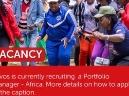 hivos-is-seeking-a-portfolio-manager-–-apply-by-24-september-2026