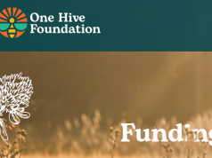 One Hive Foundation Impact & Catalyst Grants 2026–2027 one-hive-foundation-impact-&-catalyst-grants-2026–2027