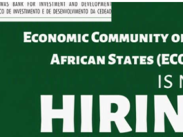 ecowas-bank-for-investment-and-development-(ebid)-(ebid)-english-translator-/-interpreter-job-2026:-apply-for-a-professional-staff-position-in-lome