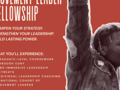 Movement Leader Fellowship 2027: Apply for Leadership Programme movement-leader-fellowship-2027:-apply-for-leadership-programme