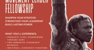 Movement Leader Fellowship 2027: Apply for Leadership Programme movement-leader-fellowship-2027:-apply-for-leadership-programme