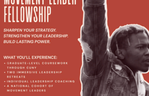 Movement Leader Fellowship 2027: Apply for Leadership Programme movement-leader-fellowship-2027:-apply-for-leadership-programme
