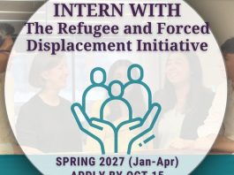 mpi-internships-2027:-demetrios-g.-papademetriou-young-scholars-program-(remote-&-paid)