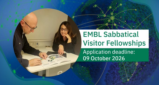 embl-sabbatical-visitor-fellowship-2026–2027-|-international-research-opportunity embl-sabbatical-visitor-fellowship-2026–2027-|-international-research-opportunity