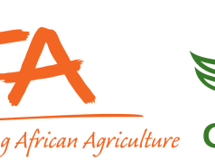 IITA Graduate Internship 2027 in People and Culture | Paid HR Internship in Nigeria iita-graduate-internship-2027-in-people-and-culture-|-paid-hr-internship-in-nigeria