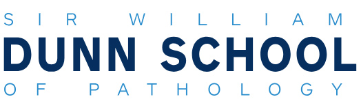 university-of-oxford-phd-studentship-projects-2027 university-of-oxford-phd-studentship-projects-2027