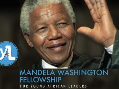 Mandela Washington Fellowship 2027: Fully Funded U.S. Leadership Programme for Young African Leaders mandela-washington-fellowship-2027:-fully-funded-us.-leadership-programme-for-young-african-leaders