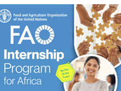 Apply for the FAO Internship Programme for Africa 2026–2027: Apply for Paid UN Internships apply-for-the-fao-internship-programme-for-africa-2026–2027:-apply-for-paid-un-internships